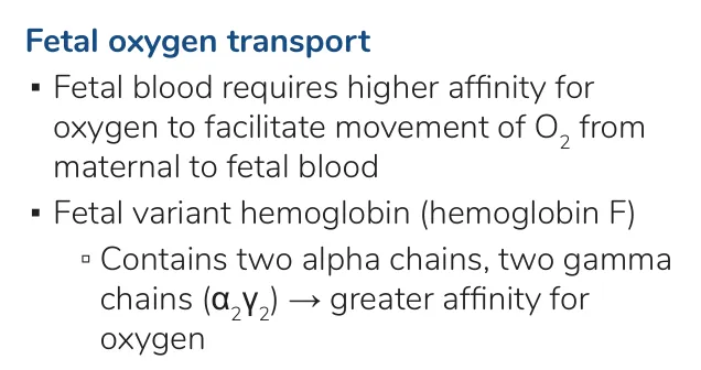 Osmosis notes: fetal blood needs higher O2 affinity; HbF is α2γ2