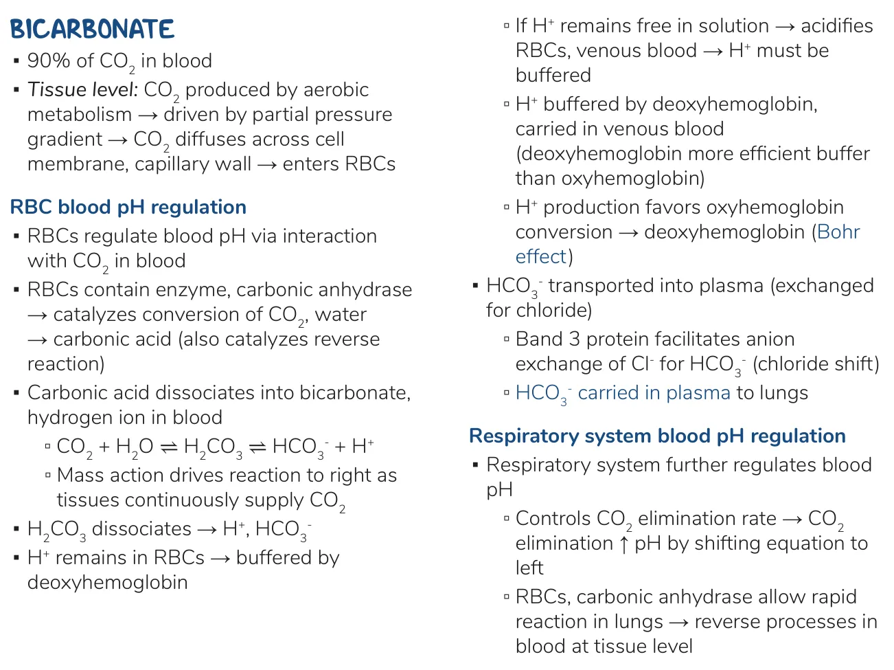 Osmosis notes: H+ buffered by deoxyhaemoglobin; band 3 chloride shift; lungs reverse it.