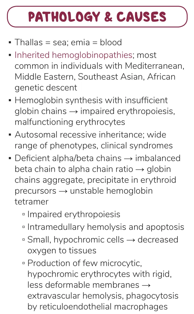 Osmosis notes: thalassaemia causes, autosomal recessive inheritance, chain imbalance and precipitation