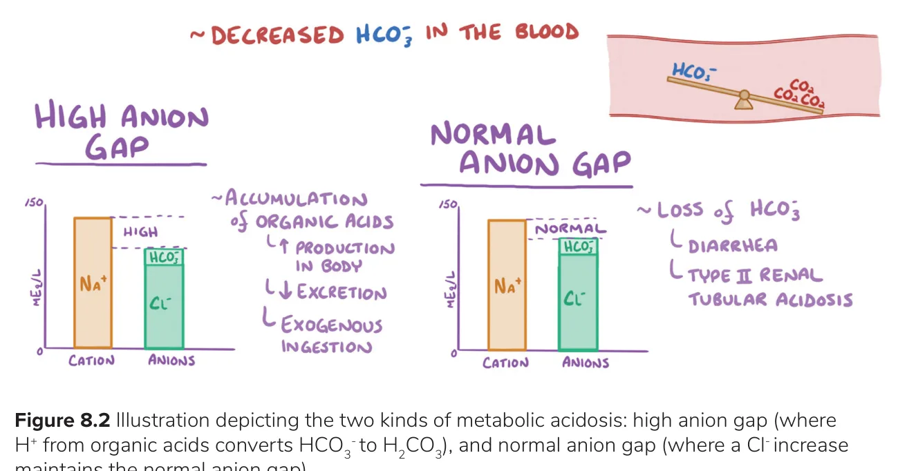 Osmosis: high gap = organic acids; normal gap = HCO3− loss (diarrhoea).