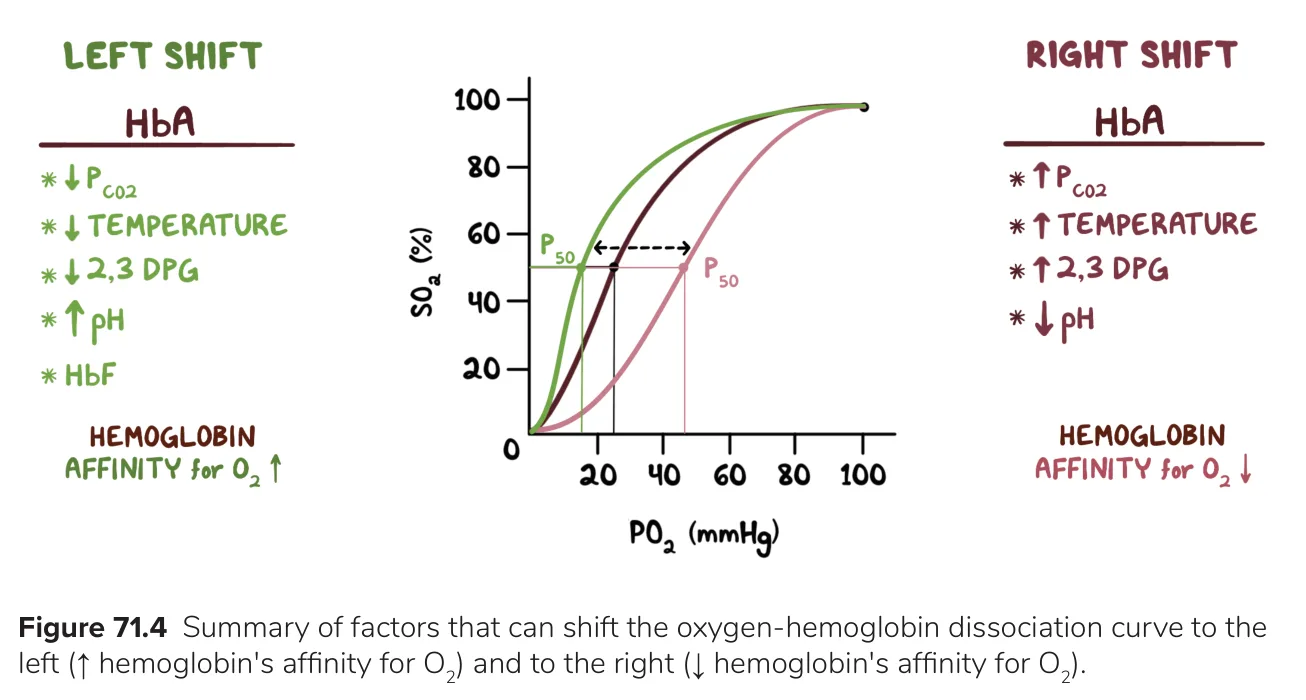 Osmosis: left- and right-shift factors; a right shift raises P50 and lowers affinity.