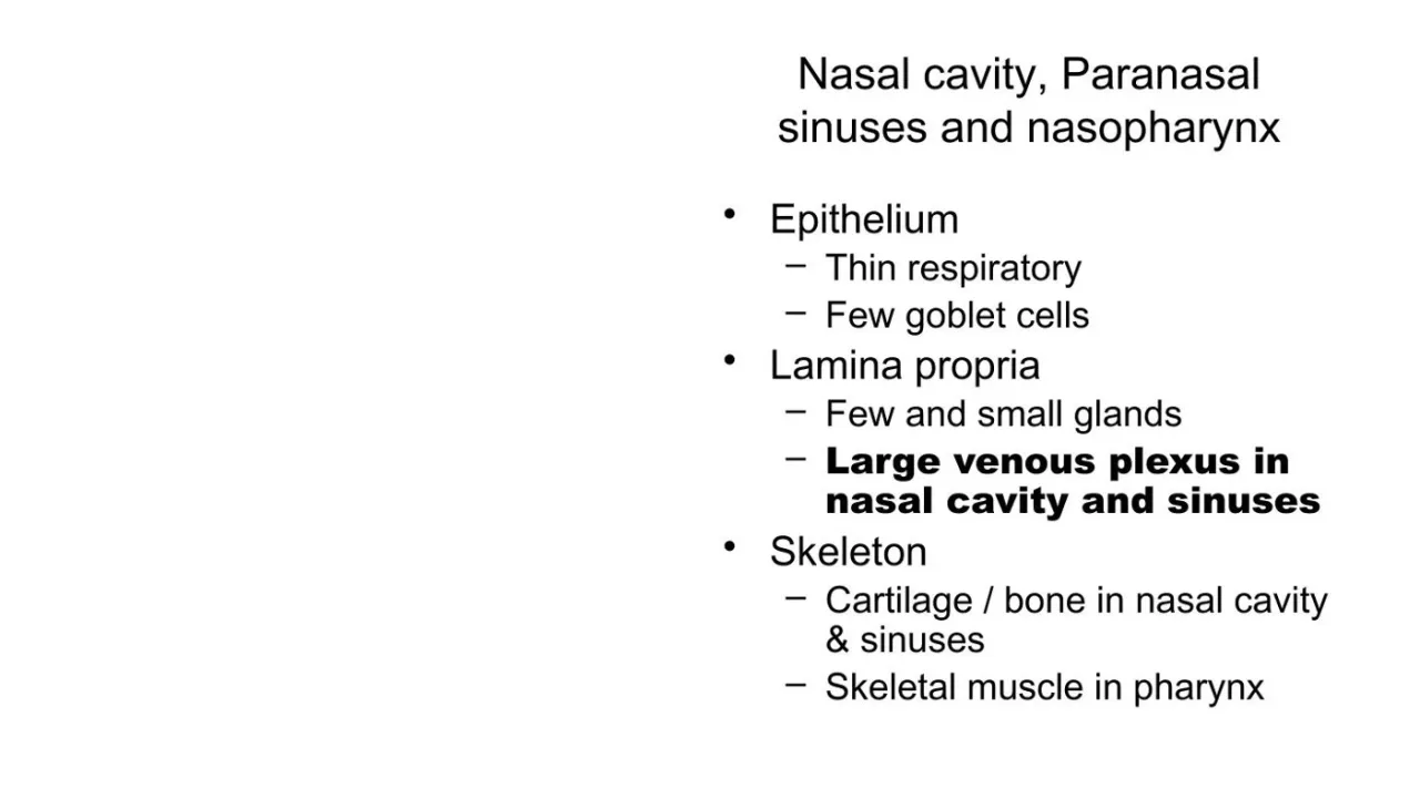Vidal: nasal cavity, sinuses, nasopharynx: thin respiratory epithelium, few glands, large venous plexus