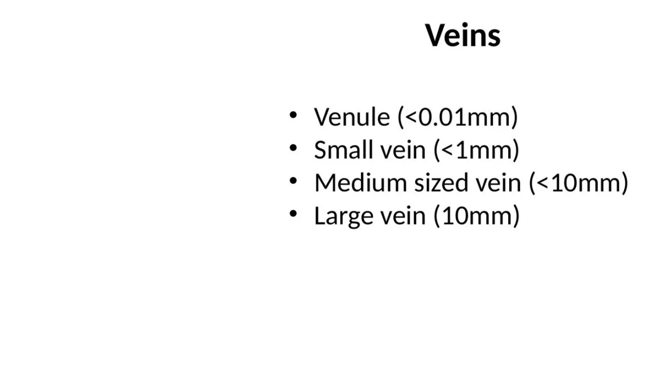 Lecture: vein classes: venule, small vein (under 1 mm), medium vein (under 10 mm), large vein