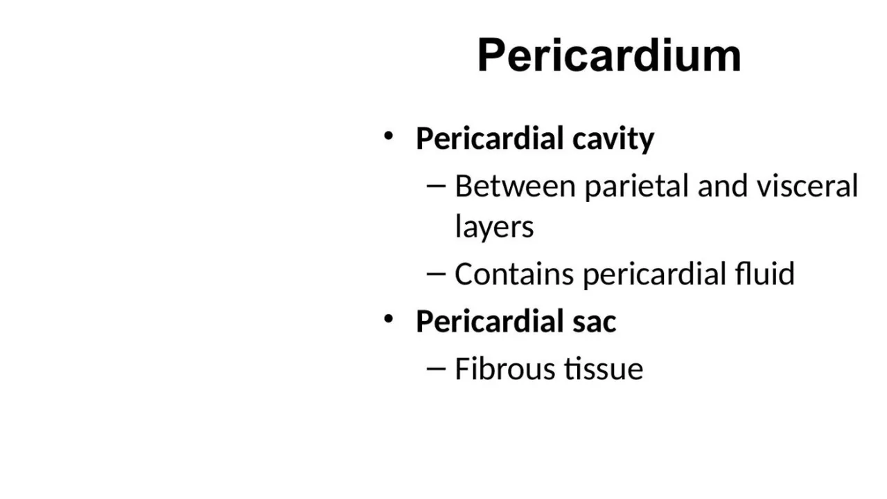Lecture: pericardial cavity lies between parietal and visceral layers and holds pericardial fluid
