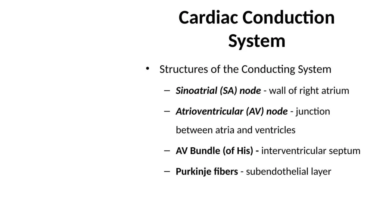 Lecture: SA node RA wall; AV node AV junction; His IV septum; Purkinje subendothelial