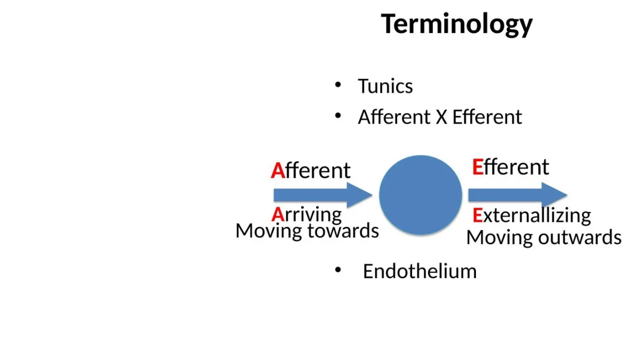 Terminology: afferent = arriving (moving toward), efferent = externalizing (moving out)