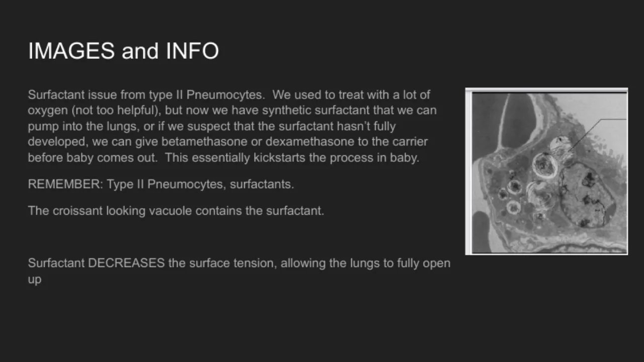 TA slide: RDS = type II cells; lamellar body holds surfactant; steroids to mother; lowers tension