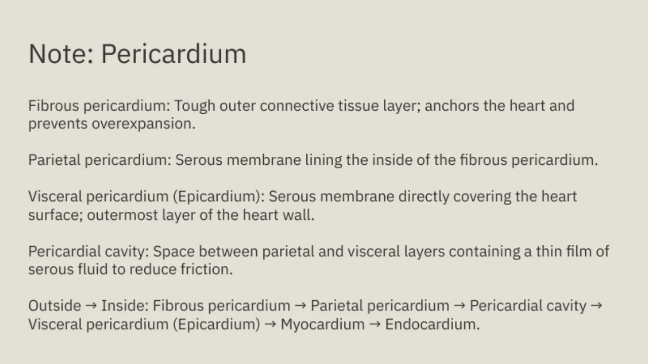TA note: pericardium layers in order, fibrous pericardium inward to endocardium