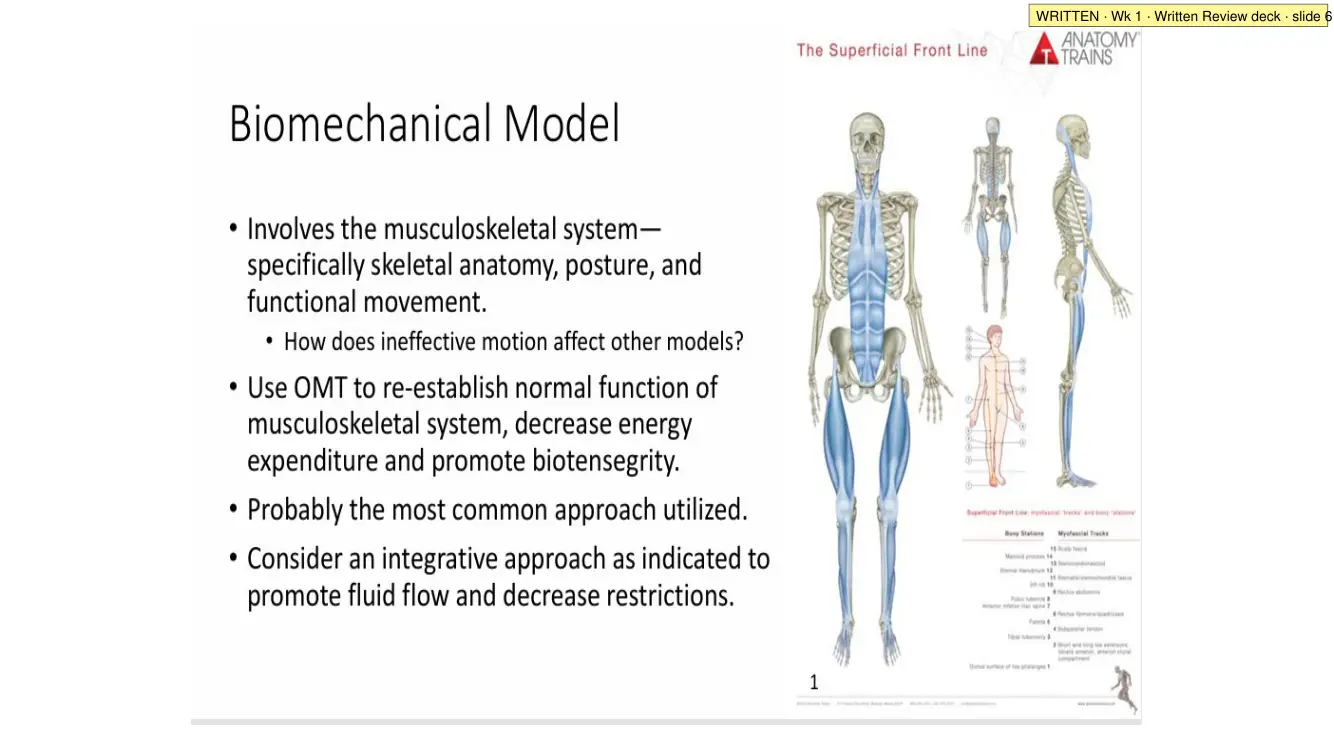 Written Review deck · slide 6