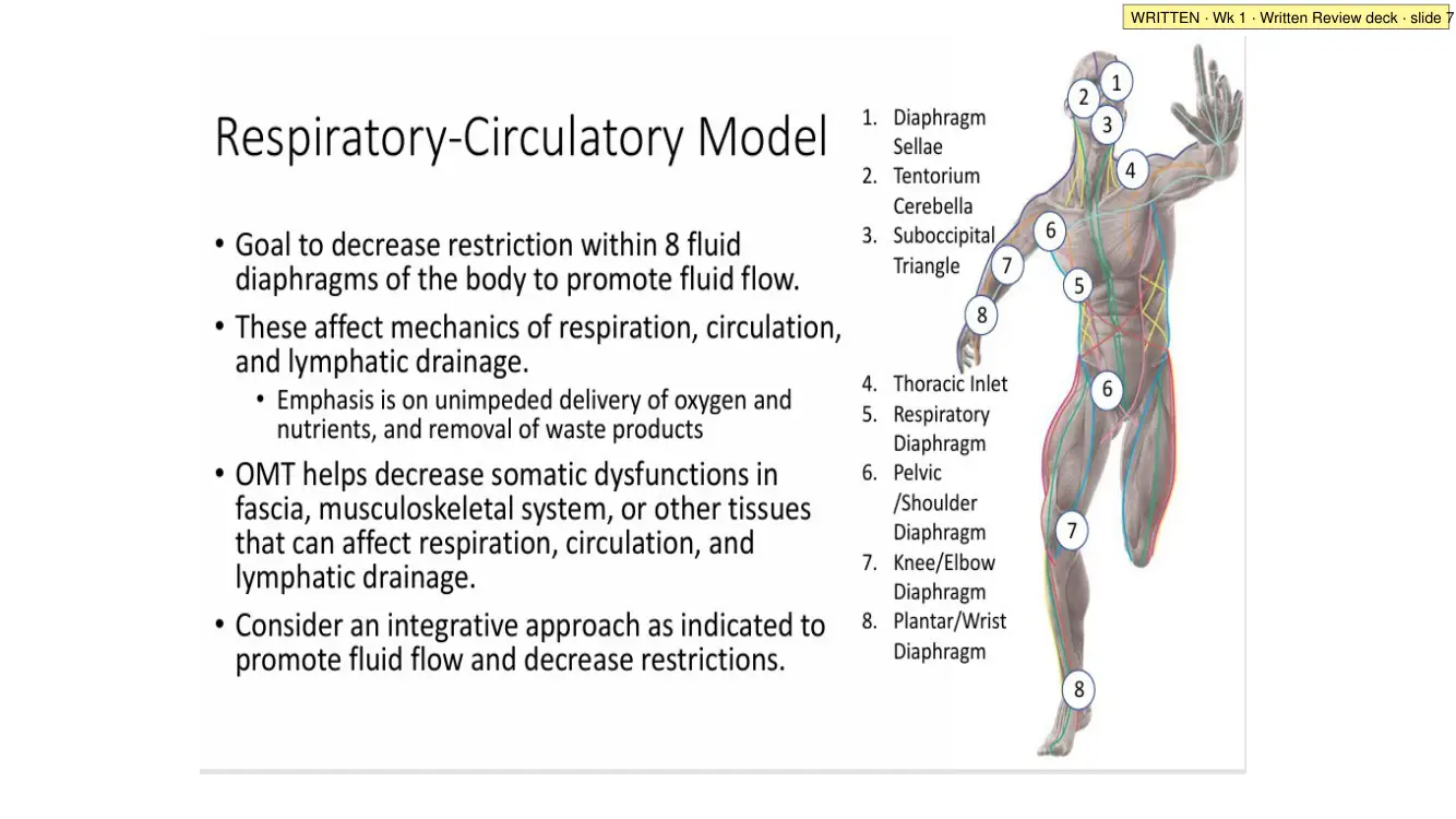 Written Review deck · slide 7