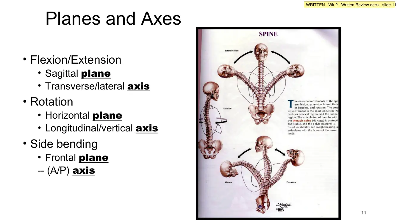 Written Review slide 11: planes and axes