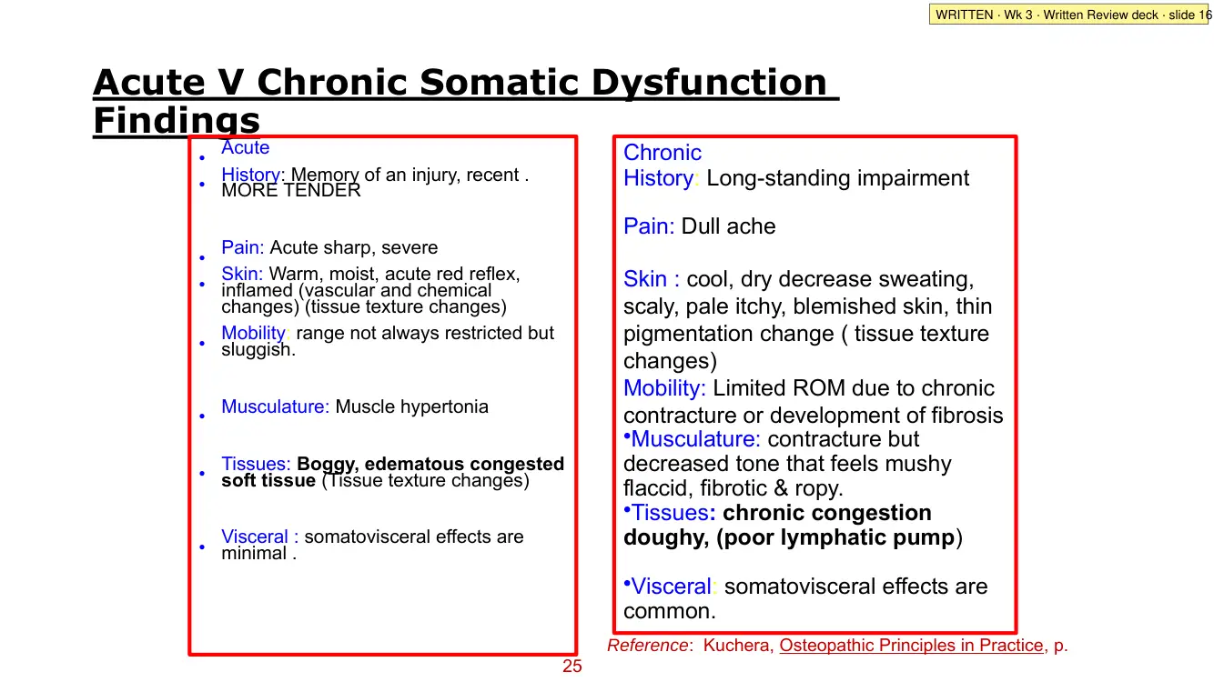 Written Review deck · slide 16