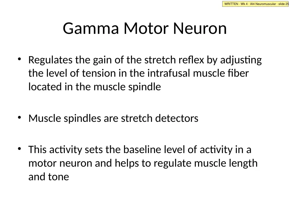 IA4 Neuromuscular · slide 25