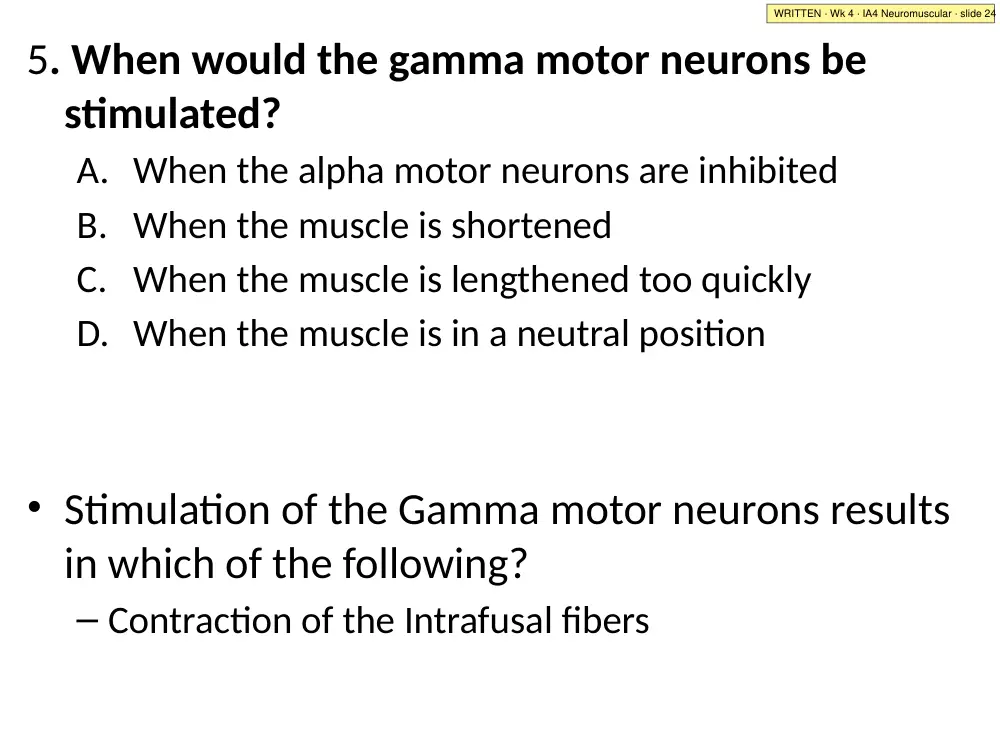 IA4 Neuromuscular · slide 24