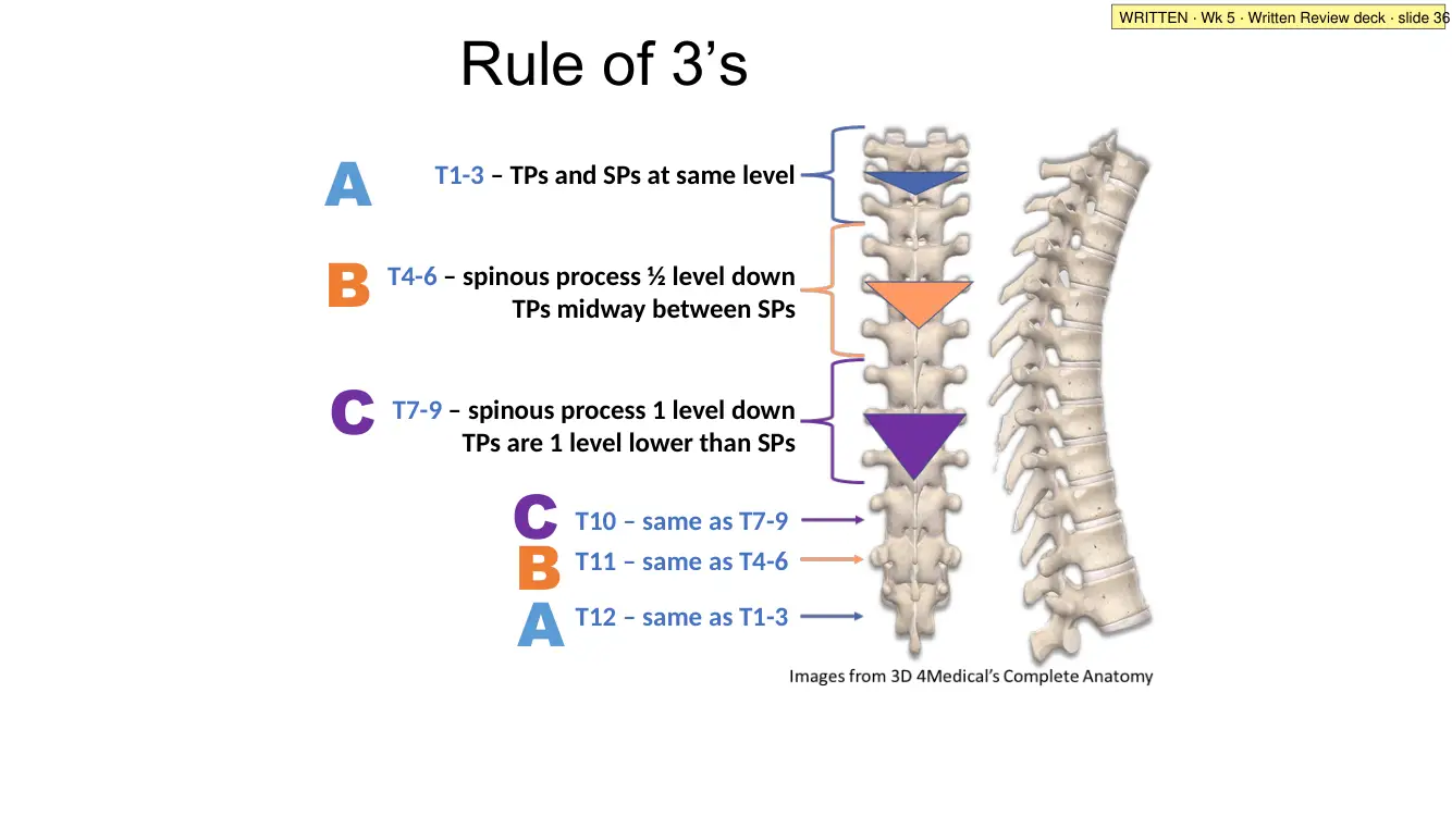Written Review slide 36: rule of 3s
