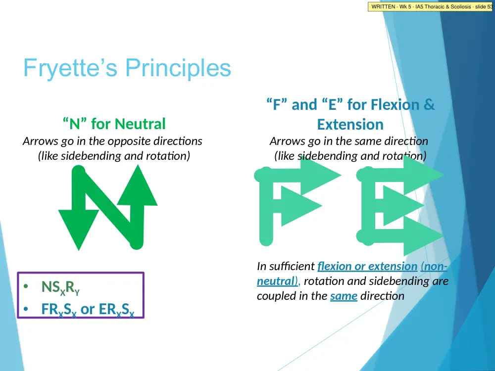 IA5 Thoracic & Scoliosis · slide 53