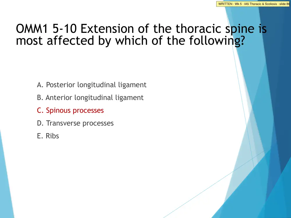 IA5 Thoracic & Scoliosis · slide 86