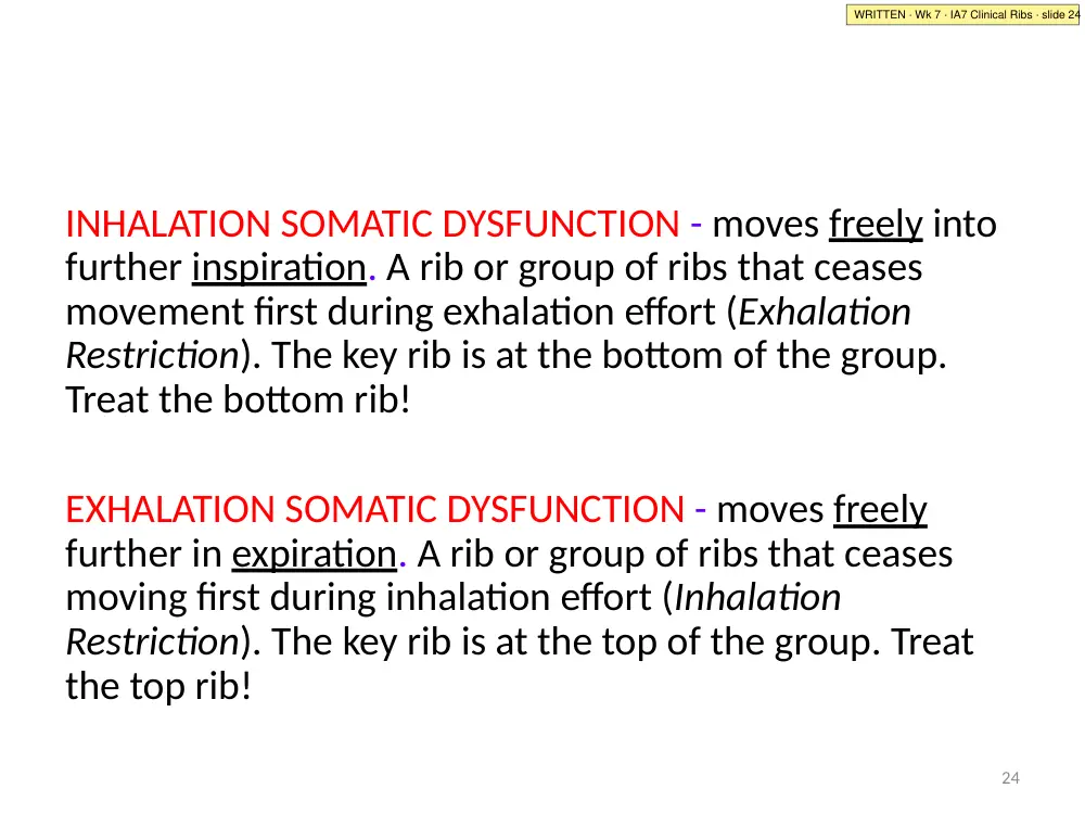 IA7 slide 24: inhalation vs exhalation SD