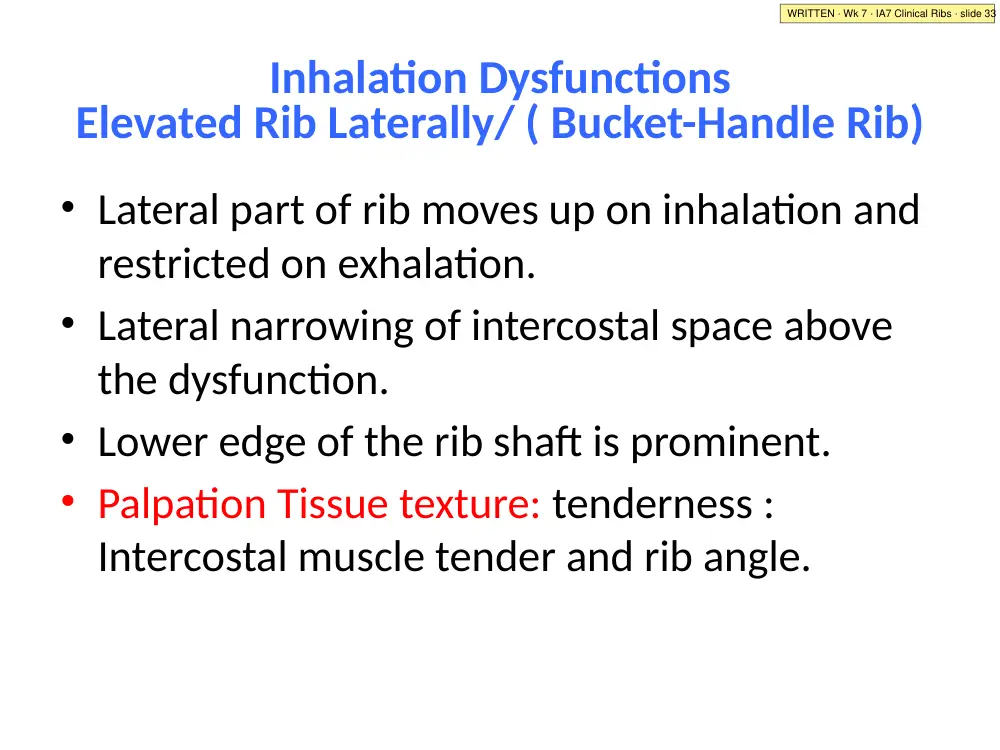 IA7 slide 33: bucket-handle inhalation SD