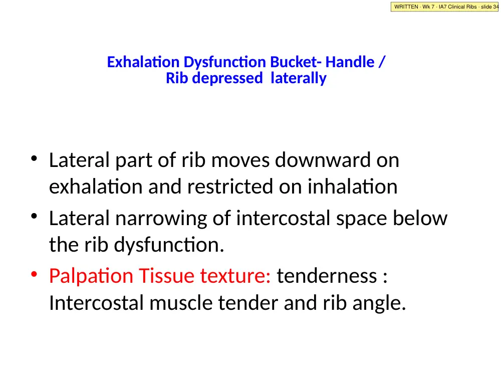 IA7 slide 34: bucket-handle exhalation SD