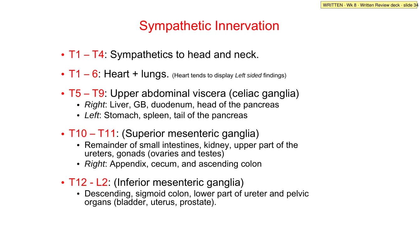 Written Review slide 34: sympathetic innervation by level