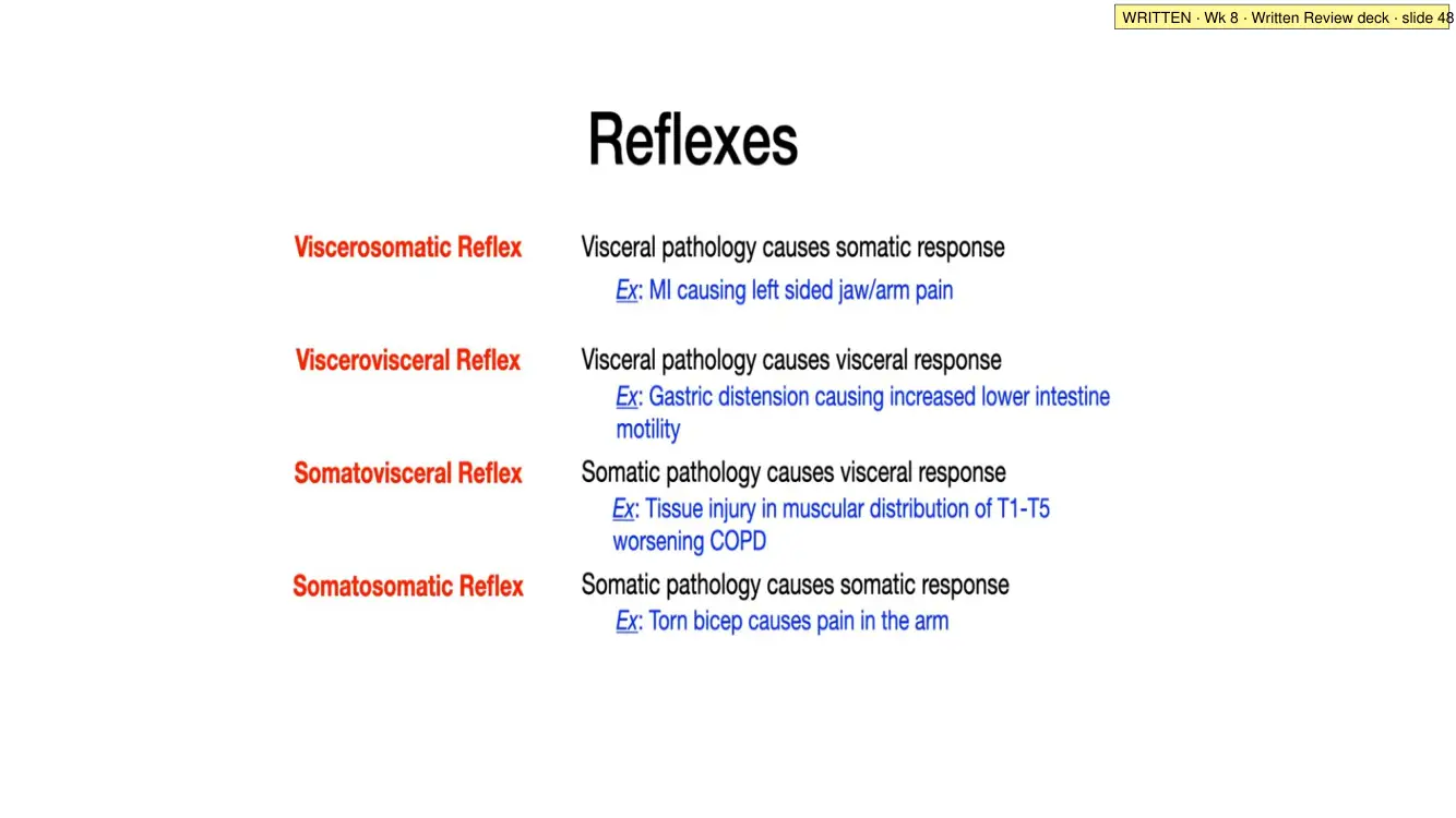 Written Review slide 48: the four reflexes
