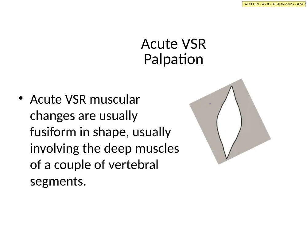 IA8 Autonomics · slide 7