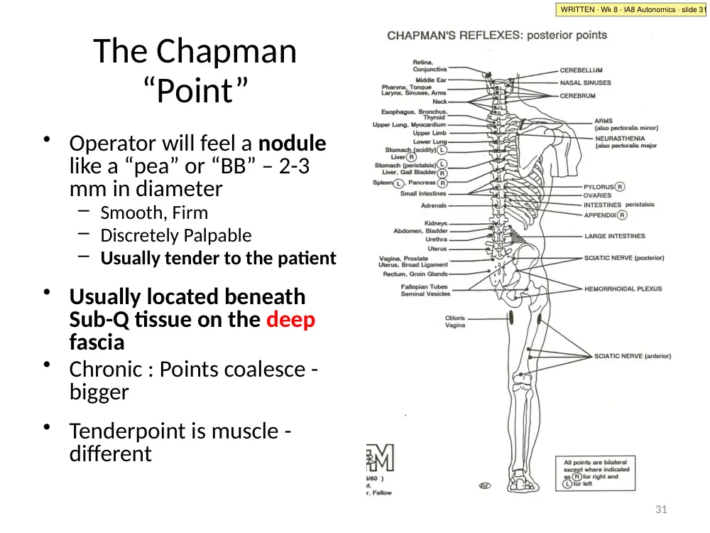 IA8 slide 31: the Chapman point