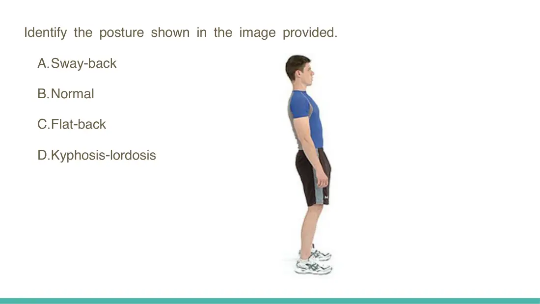 Figure for question 97